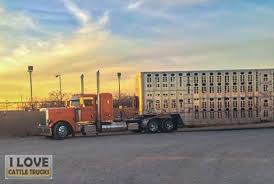 Thanks And All Credits To Tyler Kmiec Who Was At Lone Star Beef Production In San Angelo Texas Big Rig Trucks Big Trucks Trucks