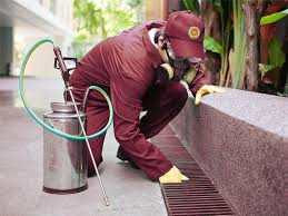 شركة رش حشرات بمكة Osprey Backpack Mecca Backpacks