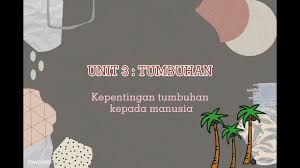 Reputan daripada tumbuhan dan haiwan yang mati dalam ekosistem akan menjadi nutrien sebagai makanan asas dalam rantaian makana bagi kebanyakan hidupan laut. Kepentingan Tumbuhan Kepada Manusia Hiasan Youtube
