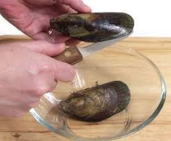 How to prepare frozen shelled clams. How To Prepare And Open Mussels How To Cooking Tips Recipetips Com