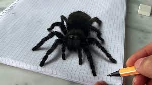 Easy, step by step how to draw 3d drawing tutorials for kids. 3d Spider Drawing Amazing Realistic Illusion Dailymotion Video