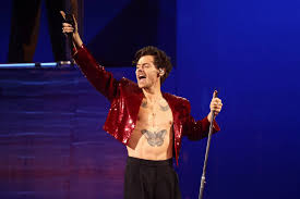 Show de Harry Styles em SP gera denúncia de deputados contra a ação de cambistas