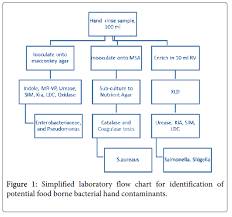 contamination of bacteria and associated factors among food