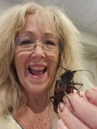 Has anyone seen this type of insect activity?