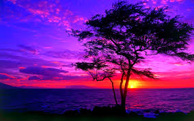 Because your subject will be a. Sunset Wallpaper Beautiful