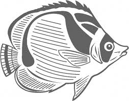 My coloring pages online is a hub of online coloring pages for kids of all ages including girls and boys, toddlers, kindergartners, preschoolers, homeschoolers as well as adults who enjoy online coloring games, painting games and love to draw. Fish Coloring Page Bestappsforkids Com