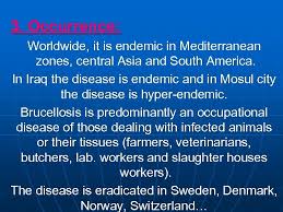 undulant fever, malta fever, mediterranean fever typhoid fever enteric fever is an acute systemic illness characterized by fever , headache , and abdominal discomfort. Brucellosis Undulant Fever Malta Fever Mediterranean Fever