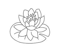 Kizicolor.com provides a large diversity of free printable coloring pages for kids, available in over 16 languages, coloring sheets, free colouring book, illustrations, printable pictures, clipart, black and white pictures, line art and drawings. Pin By Stroe Elena On Lily Pads And Ponds Flower Coloring Pages Coloring Pages Lily Pad Drawing