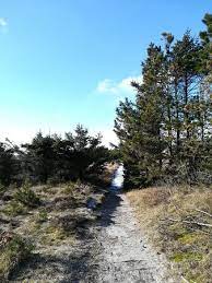 Namensgebend ist die dünenplantage, die zum schutz von husby vor dem wandernden sand ab 1858 zunächst mit latschenkiefern und dann mit einer reihe von anderen hölzern gepflanzt wurde. Img 20180227 Wa0010 Large Jpg Picture Of Husby Klitplantage Ulfborg Tripadvisor