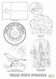 Texas bluebonnet flower drawings sketch coloring page. Elegant Texas State Flower Coloring Pages Cocoloring