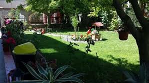 Căci pentru copil, trebuie să reprezinte tot ce mama și tata au strâns în acele litere puse laolaltă: Ce Statiune Sa Alegi Pentru Vacanta In Familie La Mare Iata Ce Spun Mamicile Copilul Ro