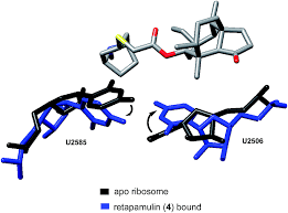 Image result for Retapamulin