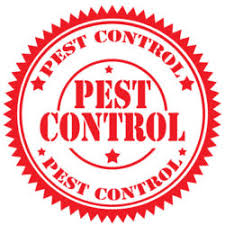 Our expert termite control specialists in pensacola are trained. Top Pests Found In Northwest Florida Tnt Pest Control Inc