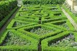 Franzosischen Garten Anlegen Unsere Tipps Fur Die Umsetzung