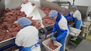 We did not find results for: Victime D Une Attaque Informatique Fleury Michon Contraint De Stopper Sa Production