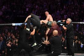 After khabib nurmagomedov and conor mcgregor and their respective teams. Mcgregor Punched After Fight During Brawl Sparked By Khabib At Ufc 229 Metro News