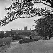 Virtually explore the early 20th century streets of sydney during this special guided tour of the exhibition developing sydney: Victoria Park City Of Sydney Archives