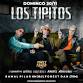 Los Tipitos Cierre de Año en Tortuguitas Open Mall event image