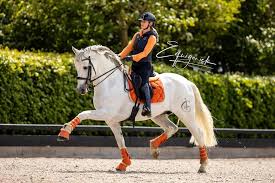 Who is britt dekker dating? Britt Dekker Ferrari 3 0 Equigeniek Paardenfotografie Facebook