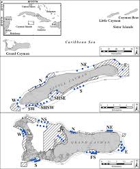 Frontiers | First estimates of population size and home range of Caribbean  reef and nurse sharks using photo-identification and BRUVS
