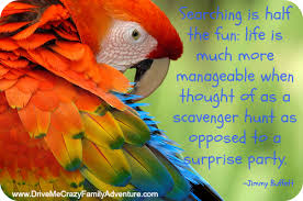 Bird With Colorful Feathers Great Pictures Quotes And Inspirations To Share On Social Media Pages Parrot Parrot Bird Macaw Parrot