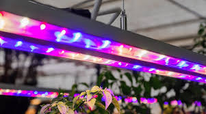 Maybe you would like to learn more about one of these? Best Led Grow Light For All Stages Of Growth 2020 Reviews