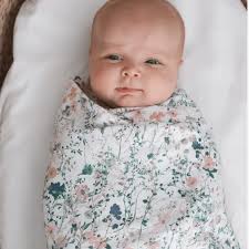 Lifestyle Store Sydney