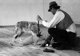 The artists activities during his confinement with the coyote followed a repeated pattern. Joseph Beuys I Like America And America Likes Me Kids Of Dada