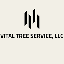 Very professional, moved all the. The 10 Best Tree Removal Companies In Minneapolis Mn 2021
