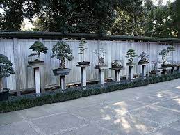 Huntington Library Japanese Bonsai Garden 0086 By Dominusvobiscum Via Flickr Japanese Zen Garden Mini Zen Garden Japanese Bonsai