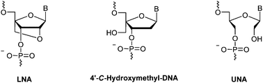 We are looking for an innovative and dynamic individual to join the recruitment team. Filling The Gap In Lna Antisense Oligo Gapmers The Effects Of Unlocked Nucleic Acid Una And 4 C Hydroxymethyl Dna Modifications On Rnase H Recruitment And Efficacy Of An Lna Gapmer Molecular Biosystems Rsc