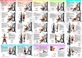 Prueba los innovadores métodos de entrenamiento de cuerpo completo que se pueden hacer en casa o en un gimnasio. Multiestaciones Fitness Para Todos En Casa