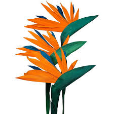 Mexican Bird Of Paradise In Pot Corn Husk Bird Of Paradise Bouquet Of 6 Corn Husk Corn Husk Crafts Paradise Flowers