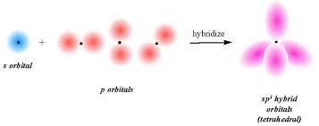 Hybrid Orbitals