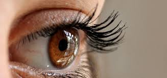 Gerstenkorn schmerzhafte knötchen am auge. Hagelkorn Ursachen Beschwerden Diagnose Behandlung Prognose Vorbeugung Gesundmed Medizin Und Gesundheit Im Web