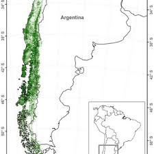 Argentina have been denied three crucial world cup qualifying points after a flat display against chile. 1 Map Of Temperate Forest Of South America From Chile And Argentina Download Scientific Diagram