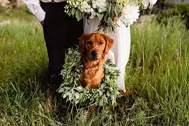Sympathy, anniversary, love and romance, birthday, get well What Your Wedding Florist Wants You To Know Palmer Flowers Loveland Colorado Wedding Florist Taylor Nicole Photography Blog