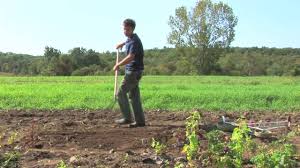 Instead of planting the vegetables in traditional rows, however, plant each veggie type in the individual squares. Vegetable Gardening How To Plant A Vegetable Garden In Rows Youtube
