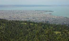 Σε περιοχή πάνω από την περιφερειακή οδό προς το σέιχ σου μαίνεται η φωτιά που ξέσπασε λίγα λεπτά πριν από τη μία το μεσημέρι της τρίτης (13/7). Den Einai Tyxaio Ayto Poy Symbainei Sto Dasos Toy Seix Soy