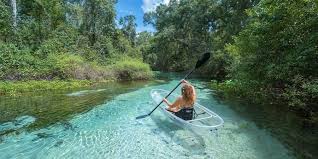 Maybe you would like to learn more about one of these? Outdoor Summer Fun In Florida Clear Kayak Tours