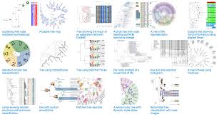 Tree Plotting In Python Stack Overflow