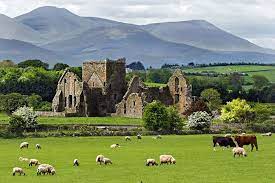 فيزا ايرلندا نحن نعلم بأن لديك الكثير من التساؤلات حول فيزا ايرلندا وكيفية استخراجها، لذا فقد وفرنا لك فريق كامل من الخبراء في التأشيرات ليجيبوا على جميع تساؤلاتك ويساعدوك في متطلبات تأشيرتك وحتى إنهاء الإجراءات. Ø§Ù„Ù‡Ø¬Ø±Ø© Ø¥Ù„Ù‰ Ø£ÙŠØ±Ù„Ù†Ø¯Ø§ Ù…ÙˆÙ‚Ø¹ Ø§Ù„Ù…ØµØ·Ø¨Ø©