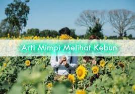 We did not find results for: Arti Mimpi Menyaksikan Kebun Vedit