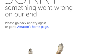 An element of a culture or system of behavior that may be considered to be passed. 30 Hilarious Memes From The Amazon Prime Day Crash Of 2018 Techiesupreme