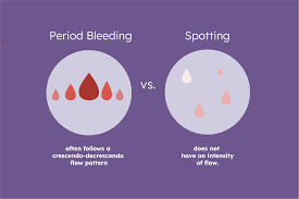 Image result for Menstrual Bleeding