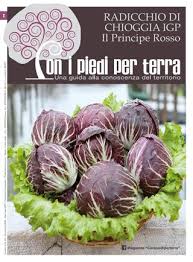 Qui trovi l'elenco delle ricette per l'ingrediente: Speciale Radicchio Di Chioggia Igp By Speak Out Issuu