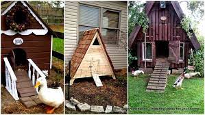 So naturally, that means we had to do some research and work on building a goose shelter. 43 Free Diy Duck Coop Plans Duck Houses Plans For Enthusiasts