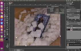GIMP 2.10 agrega monitor SWAP | masLinuX