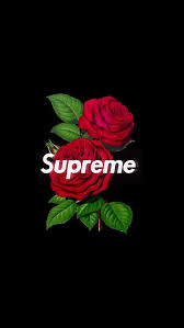 Maybe you would like to learn more about one of these? 20 Supreme Rose Wallpapers On Wallpapersafari