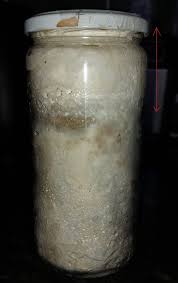 What are the most profitable mushrooms? How To Grow Lion S Mane Mushroom In A Jar Mushroom